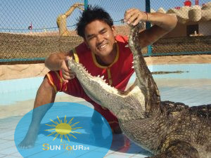 Crocodile and Snake Show Sharm El Sheikh