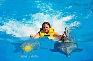 Плавание с дельфинами, Swim With Dolphins In Sharm El Sheikh