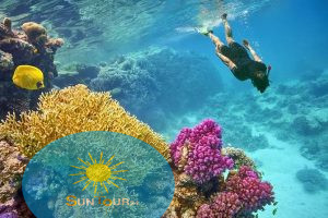 Дайвинг возле острова Тиран- Шарм Эль Шейх