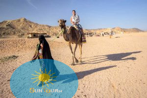 6cc3061a 46e3 4698 bb93 4f84ea9328f4