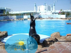 Дельфинарий в Хургаде