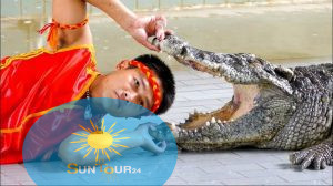 Шоу крокодилов и змей, POKAZ KROKODYLI I WĘŻÓW SHARM EL SHEIKH