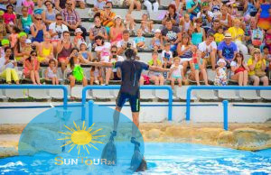 Delfinarium w Szarm el-Szejk, Dolphinarium In Sharm El Shikih