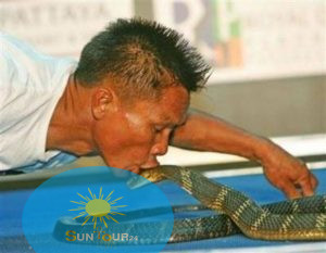 Шоу крокодилов и змей