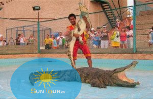 Шоу крокодилов и змей, Zabawne i trochę przerażające egzotyczne show z krokodylami i wężami, które powinna odwiedzić cała rodzina…