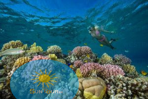 Заповедник голубая дыра