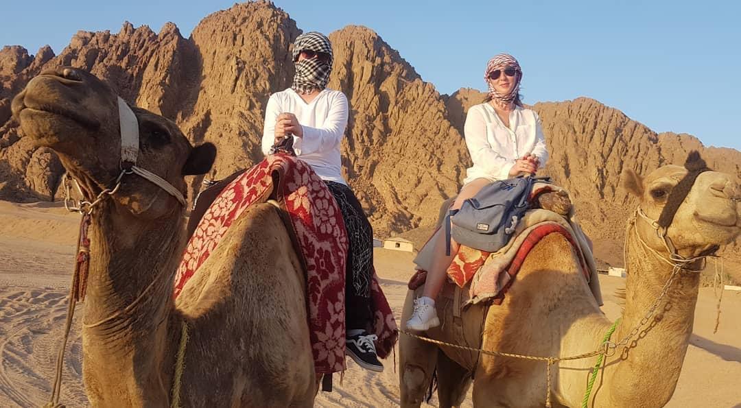 Сафари на квадроциклах