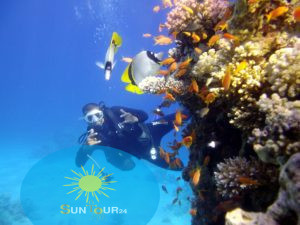 Дайвинг с берега, Дайвинг Тиран, Shore Diving in Sharm el sheikh
