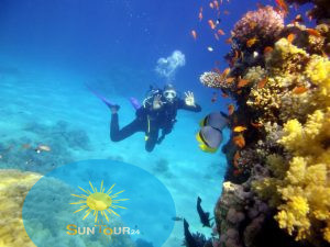 Nurkowanie z brzegu z Sharm el sheikh, Дайвинг возле острова Тиран- Шарм Эль Шейх