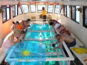 Glass Bottom Boat Trip in Sharm El Sheikh