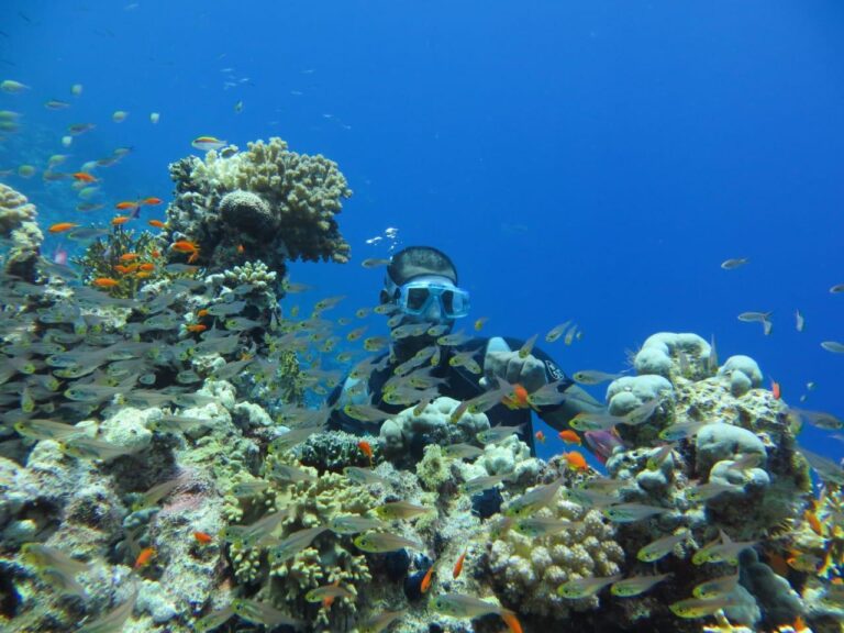 остров Тиран