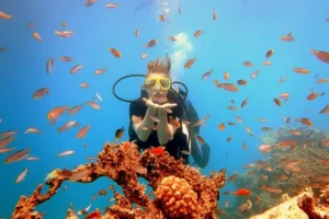 ГМУРКАНЕ И ЗАБАВЛЕНИЯ в Шарм Ел Шейх