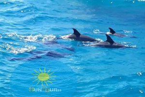 Дом дельфинов в Хургаде ,Rejs do domu delfinów w Hurghadzie