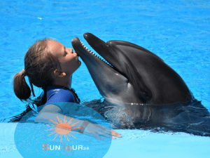 плавание с дельфинами в Хургаде