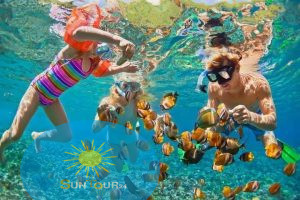 Дом дельфинов