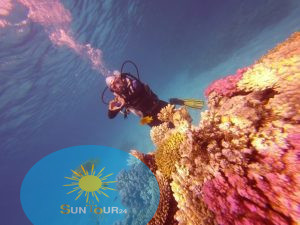 Дайвинг в Хургаде