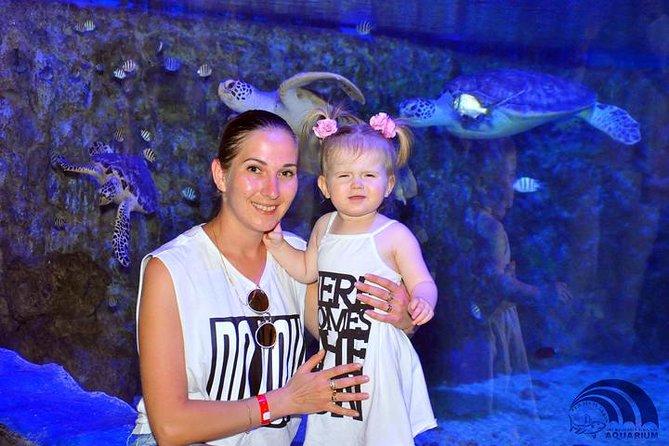 Гранд Аквариум в Хургаде, Grand Aquarium Hurghada