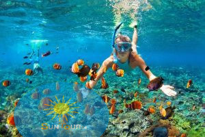 Дайвинг в Хургаде