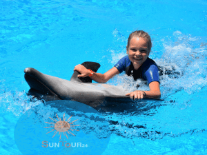 Плавание с дельфинами, плавание с дельфинами в Хургаде