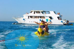 Дом дельфинов, Delfinų namas iš Hurgados / įlanka