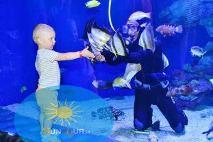 Гранд Аквариум в Хургаде, Didysis akvariumas Hurgadoje