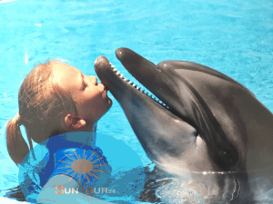 Плавание с дельфинами, плавание с дельфинами в Хургаде, Plaukimas su delfinais Hurgadoje