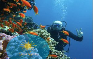 Diving and Fun In Sharm El Sheikh