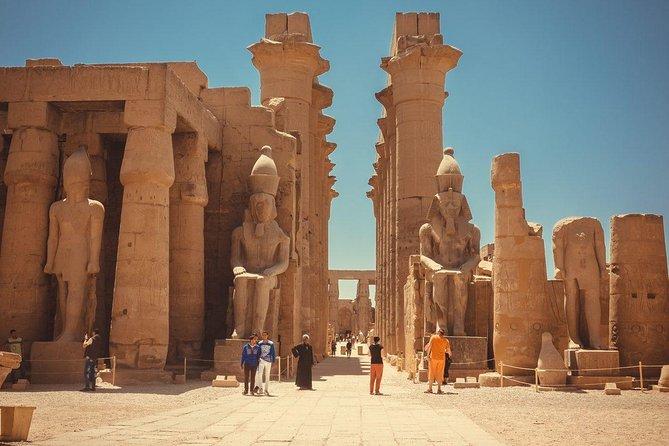 Луксор Стандарт, Супер Луксор, LUXOR BY BUS TRIP