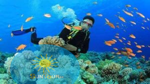 Дайвинг и развлечения в Шарм Эль Шейхе. Nurkowanie w pobliżu wyspy Tiran