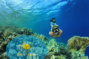 Дайвинг в заповеднике, Рас-Мохаммед, остров Тиран, Wyspa Paradise Island