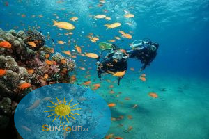 Nurkowanie na Ras Mohammed, Diving