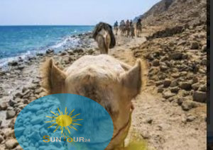 Дискавери Дахаб