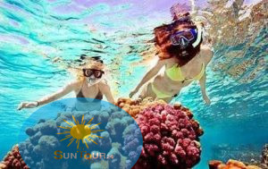 Дайвинг Тиран