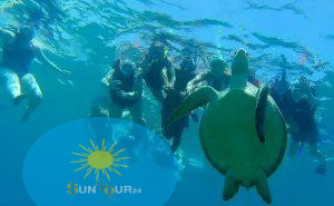 ЗАЛИВЪТ-НА КОСТЕНУРКИТЕ В АБУ ДАБАБ ОТ ХУРГАДА