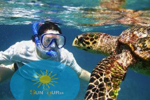 Экскурсия к черепахам, ABU DABBAB TURTLE HOUSE-TRIP