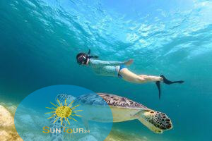 Экскурсия к черепахам, Zatoka Żółwi Abu Dabbab