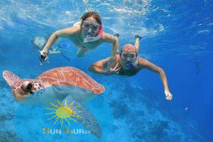 Экскурсия к черепахам, Zatoka Żółwi Abu Dabbab