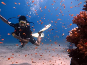 гмуркане на брега в Шарм ел Шейх