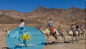 Прогулка на верблюдах