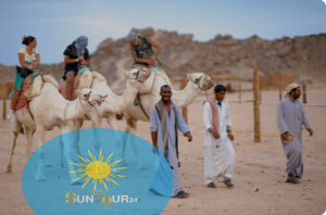 Прогулка на верблюдах