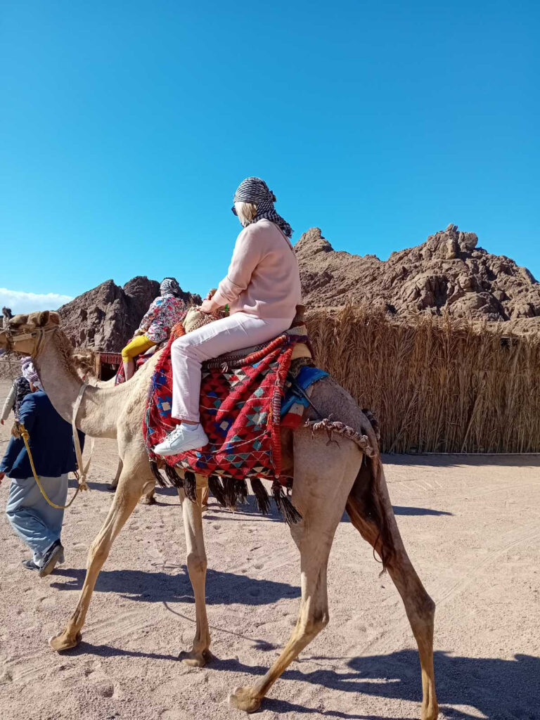 img-7e5fd71e8f209cac0151262debd8dbfd-v