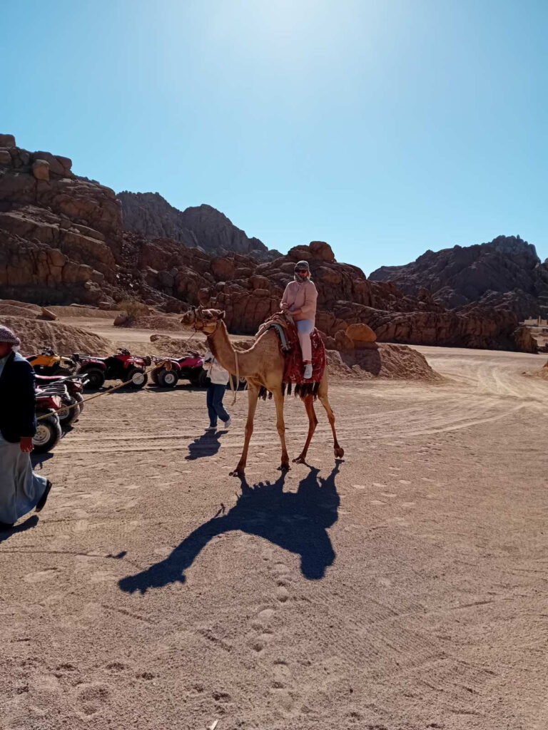 img-96498ec46fcd6e609df48c46d0586c83-v