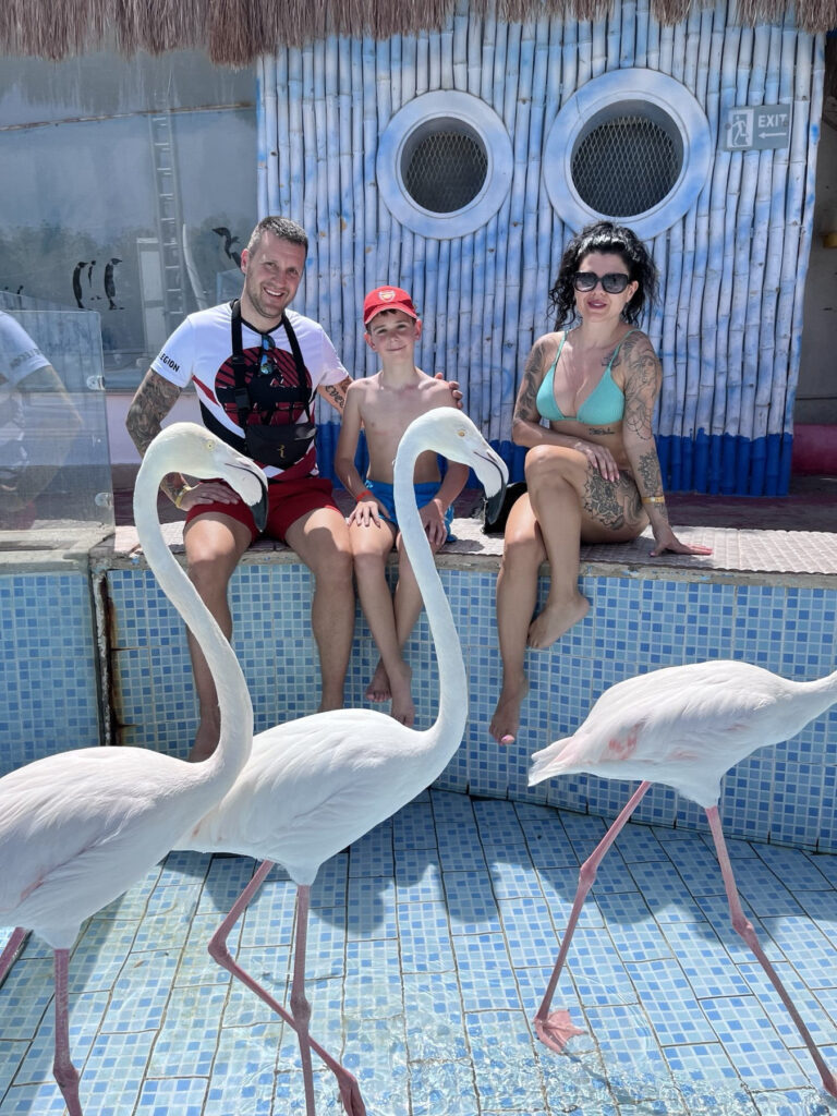 img-9a8ec45688d5c4ebe35c6411d2bf1396-v