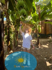 Wycieczki w Hurghadzie